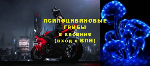 прущий лед Краснослободск