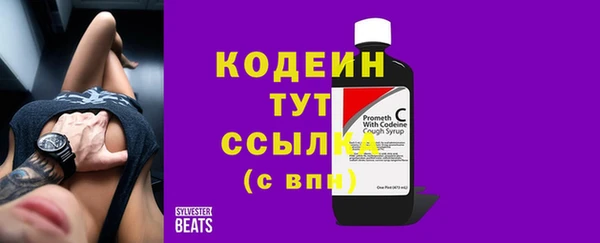 прущий лед Краснослободск