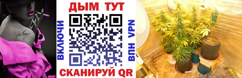 Бошки Шишки LSD WEED  Чаплыгин 